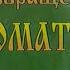 Документальный детектив Возвращение Богоматери дело 1992 года