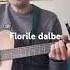 Florile Dalbe Versiunea Tronos Cover Chitara Acustica Gabriel Coman Cover Guitar Music