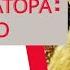 Диктаторы Франсиско Франко Всё Так Плюс