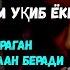 Пайшанба ТОНГИНГИЗНИ АЛЛОХНИНГ КАЛОМ БИЛАНІ АЛЛОХ ТАОЛО СИЗ СУРАГАН НАРСАНГИЗНИ ОРТИҒИБИЛАН БЕРАДИ