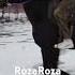Shortvideo природа деревня музыка Ну а ты совсем не изменилась