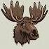 Chris Webby Moose Head OFFICIAL VERSION