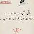 Allama Muhammad Iqbal Poetry Iqbalpoetry Poetry Youtubepoetry Poetryshorts Shortsfeedviews