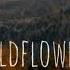 Wildflowers Here I Go Subtitulada Al Español