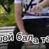 шумит калаш там шансов мало