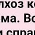 У Доярки Спросили Где Председатель Сборник Свежих Смешных Жизненных Анекдотов