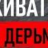 НЕСТАНДАРТНОСТЬ его слов ПОРАЖАЕТ Скандальные цитаты Джейсона Стейтема которые ведут к успеху