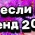 танцуй если знаешь этот тренд тик ток 2024 тренды тик ток