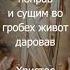 Тропарь Пасхи Христос Воскресе из мертвых
