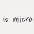 What Is MicroRNA MiRNA