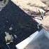Is Your Arizona Roof Ready For May Storms Free Inspections Now Freeinspection Roofingexperts