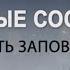 ДЕСЯТЬ ЗАПОВЕДЕЙ КАББАЛА Серия Духовные состояния