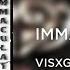 VISAGE IMMACULATE 8D AUDIO