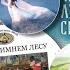 С днем рождения Качели