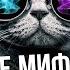 Квантовая физика вопреки здравому смыслу Ученые против мифов 14 14 Вадим Родимин