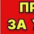 Александр Горохов Премия за убийцу Читает Елизавета Крупина Аудиокнига