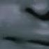 Nico S Nextbots Insomniac Sound Jumpscare