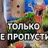 РОТ ОТКРОЕШЬ Кто На Пороге Зачем Идет 200 ТОЧНО таро гадание Shorts Tarot