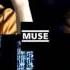 Muse Unintended 120 Speed