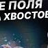 Как развить в себе телепатию Влияние торсионных полей квазары их энергия и зачистка хвостов