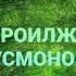 19 февраля 2022 г