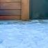 Gerda Follows Messi Around The Cats Couldn T Get Along On The Narrow Path Who Gives First