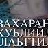 Дала декъал войла х1усам да озвучиваю я