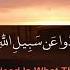 Surah Al Munafiqun Ahmad Khedr Beautiful Recitation