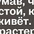 Жених сбежал со своей свадьбы не подумав что буцдет с невестой как она это переживёт Но невеста