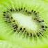 HOW TO EAT KIWI LIKE A PRO Asmr Asmrvideo Asmrsounds Asmrfood Foodporn Fruit Kiwi Artwork