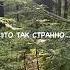 Сколько версий тебя существует