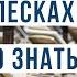 ЗОЛОТЫЕ ПЕСКИ БОЛГАРИЯ 2025 ЦЕНЫ МОРЕ ВСЯ ПРАВДА О КУРОРТЕ