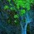 Waterfall Sounds Stream Of Water Flowing In The River Gentle Stream Sounds Asmr Forest Sounds