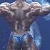 2022 IFBB Arnold Classic Men S Bodybuilding Champion Brandon Curry Posing Routine 4k Video