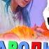 Песня Клип БЕЛЫЙ МУЛЬТЯШНЫЙ КОТ Mia Boyka Егор Шип ПИКАЧУ ПАРОДИЯ SCP WHITE CARTOON CAT