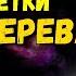 Из дома уйдут ссоры ругань и болезни Принесите в дом ветки этого дерева