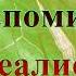 Из воспоминаний идеалиста Антон Чехов Рассказ