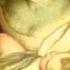 Sarah Brightman When A Child Is Born Merry Christmas