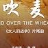 李健 风吹麦浪The Wind Over The Wheat Field