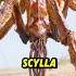 SCYLLA By HIYA TOYS Godzillaxkongthenewempire Hiya Hiyatoys Scylla Monsterverse Godzilla