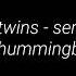 Cocteau Twins Serpentskirt Sleeping Hummingbird Cover
