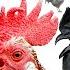 COMPILATION 100 Roosters Crowing Ayam Cemani Brahma Leghorn Serama Silkie Wyandotte Chickens