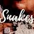 FREE Snakes Finesse2Tymes Type Beat Trap