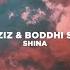 Shina Ancestral Soul Mix