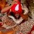 Black Magic Hadzabe Tribe Ritual Sacrifice Before Going To Jungle Africa Ritual Blackmagic