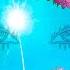 Tears Of Bliss