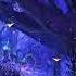 Avatar Music Ambience Pandora At Night Bioluminescence Forest Sounds And Occasional Rain