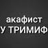 Акафист СПИРИДОНУ ТРИМИФУНТСКОМУ Светское чтение