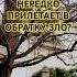 ПОЧЕМУ ЗА ДОБРО ПЛАТЯТ ЗЛОМ добро зло китайскаяметафизика иероглифика исследования