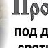 Проповедь под день памяти святителя Льва папы Римского 2021 03 02 Протоиерей Илия Шапиро